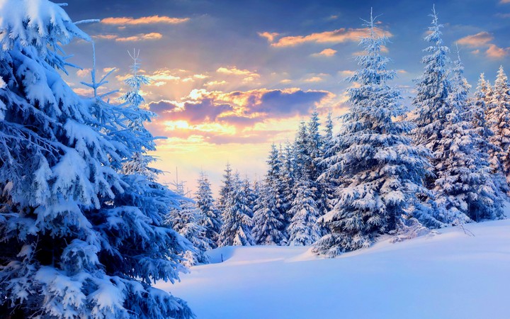 winter❄ landscape 