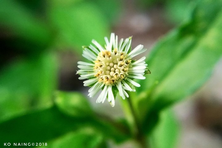 small is beautiful
