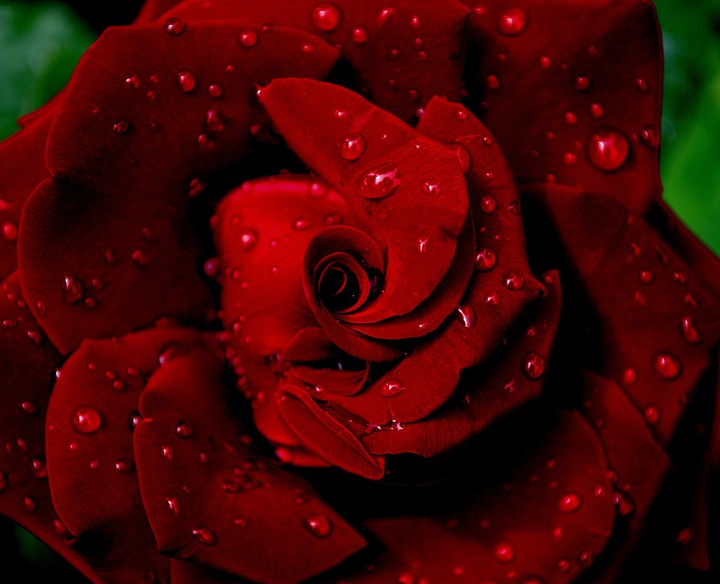 ~♡~