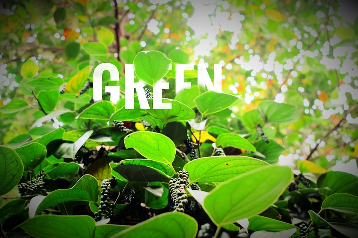 GREEN