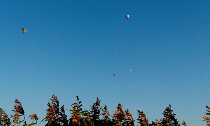 balloons