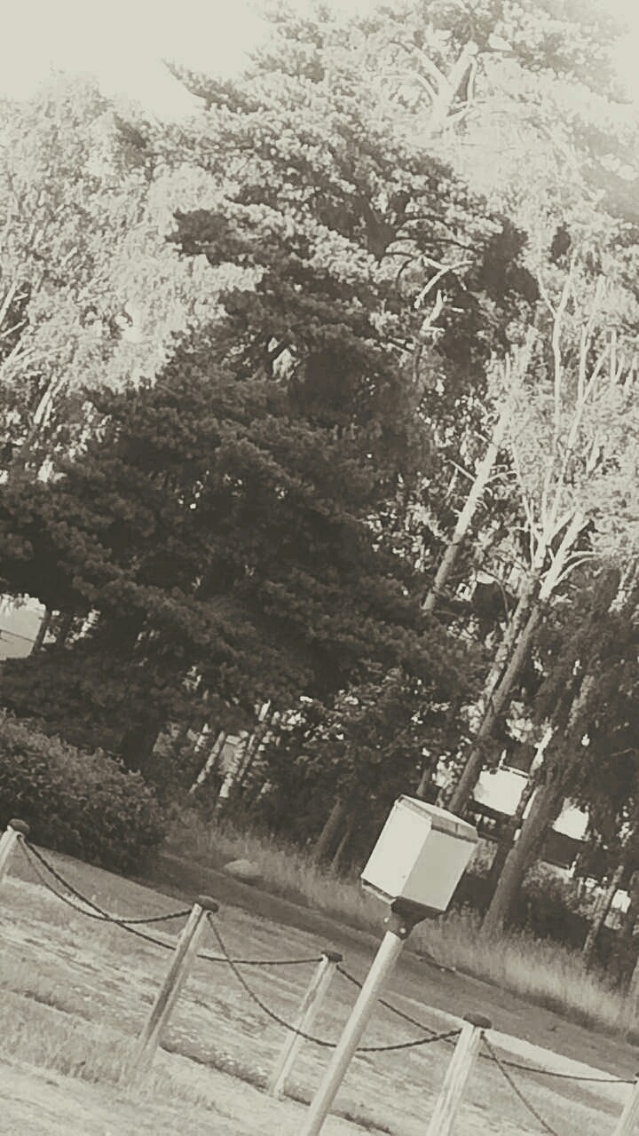 park