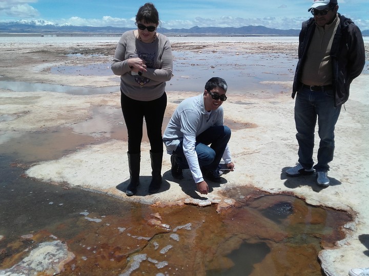 Ojo de agua termal en el salar