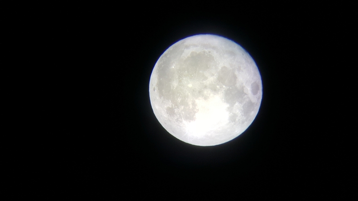 The moonlight heals my heart.