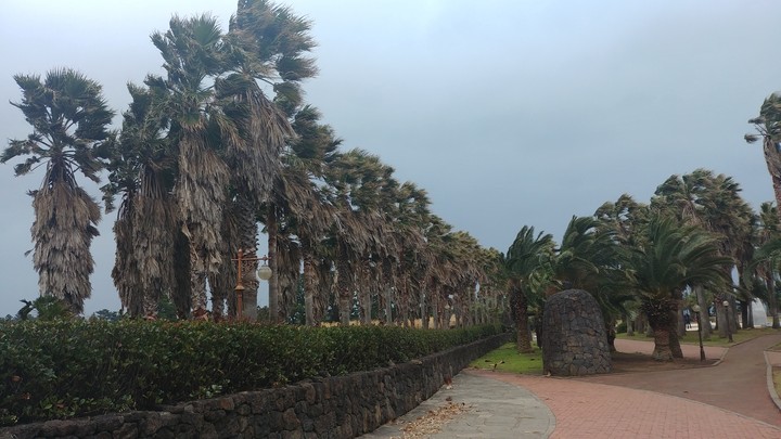 제주도