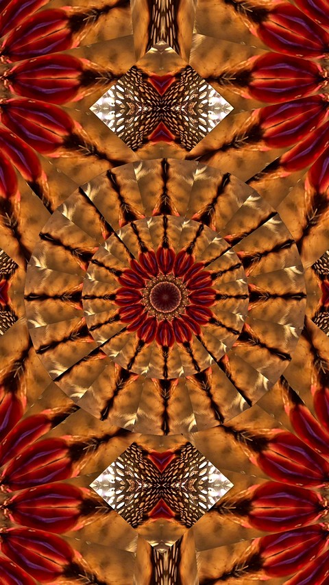 Kaleidoscopes by SexyMugsy