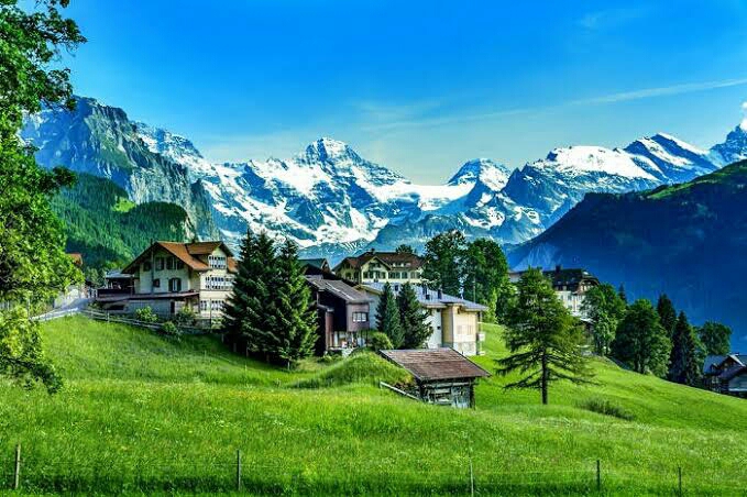 Mountain Beauty