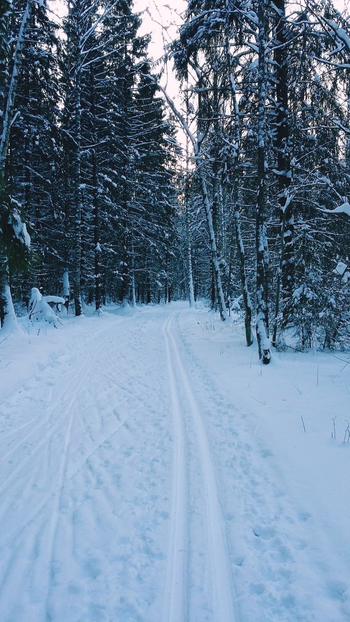 Winter