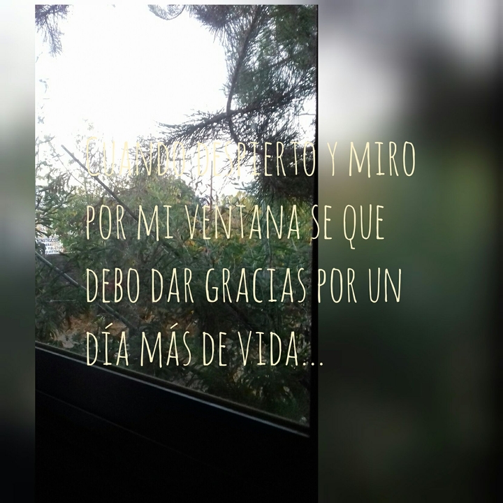 historia de Nadia