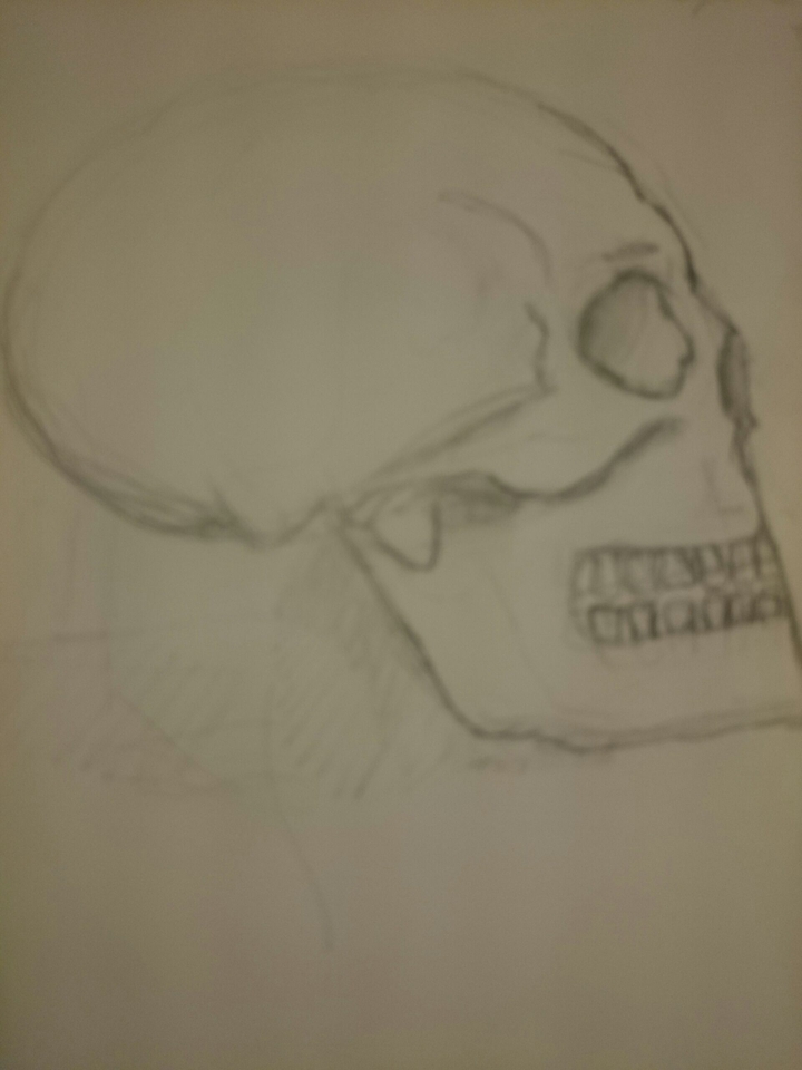 skull
