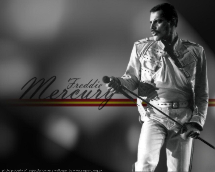 freddie