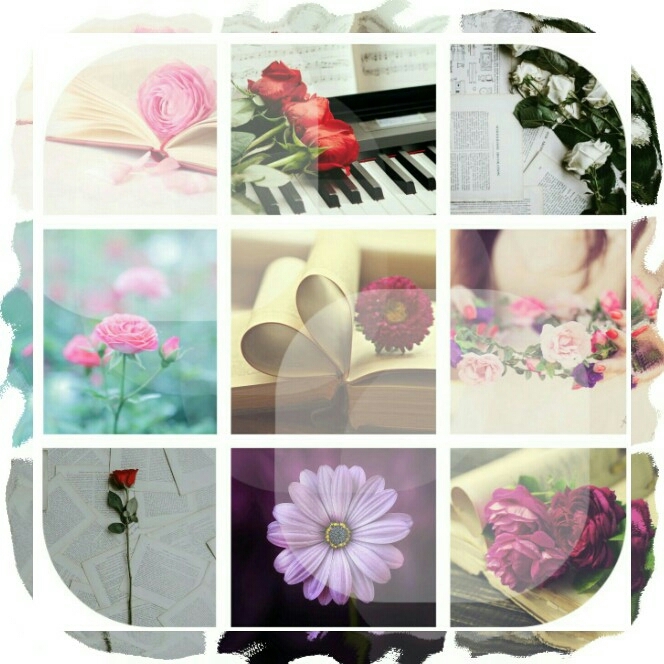 roses colage