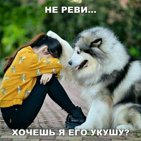 не