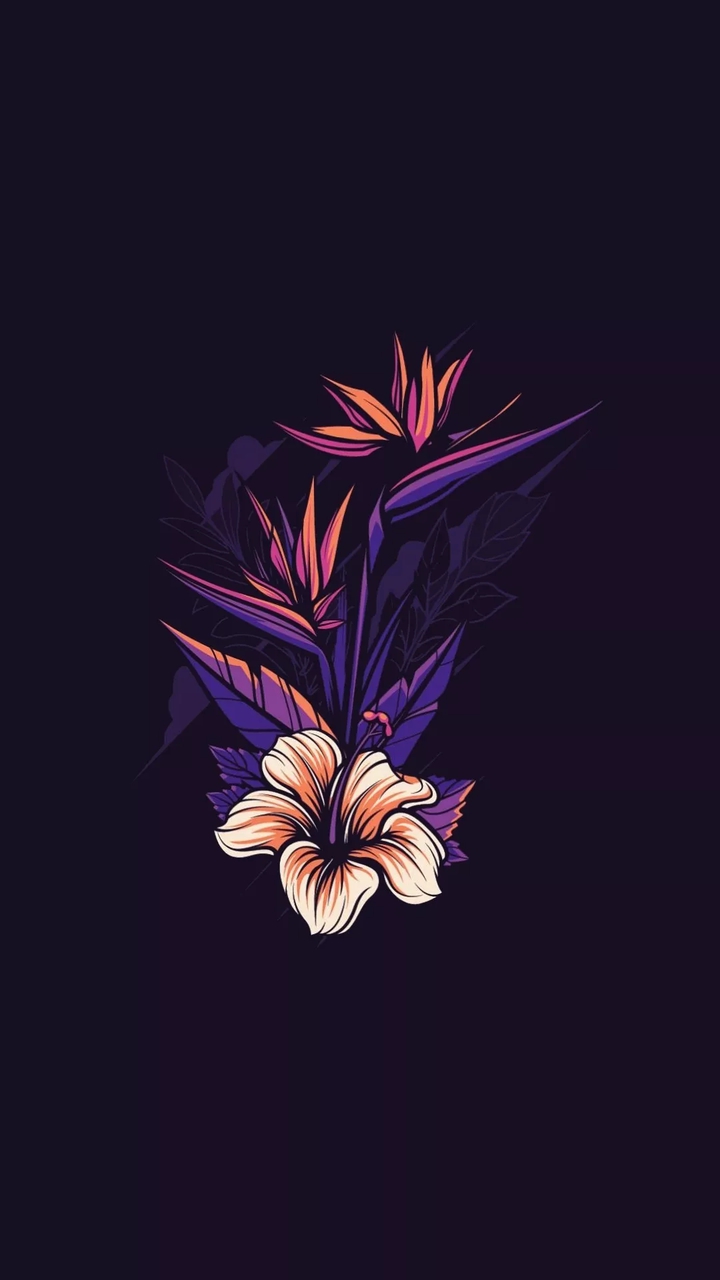 minimalist