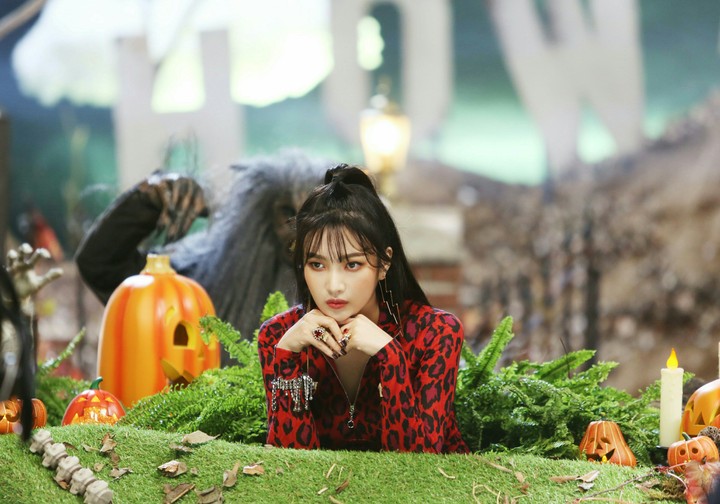 Red Velvet*