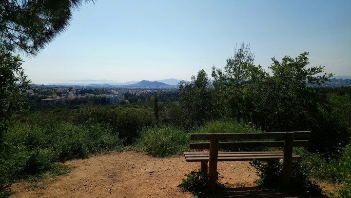 Bench with view
