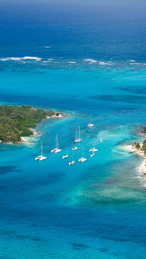 Island Life
