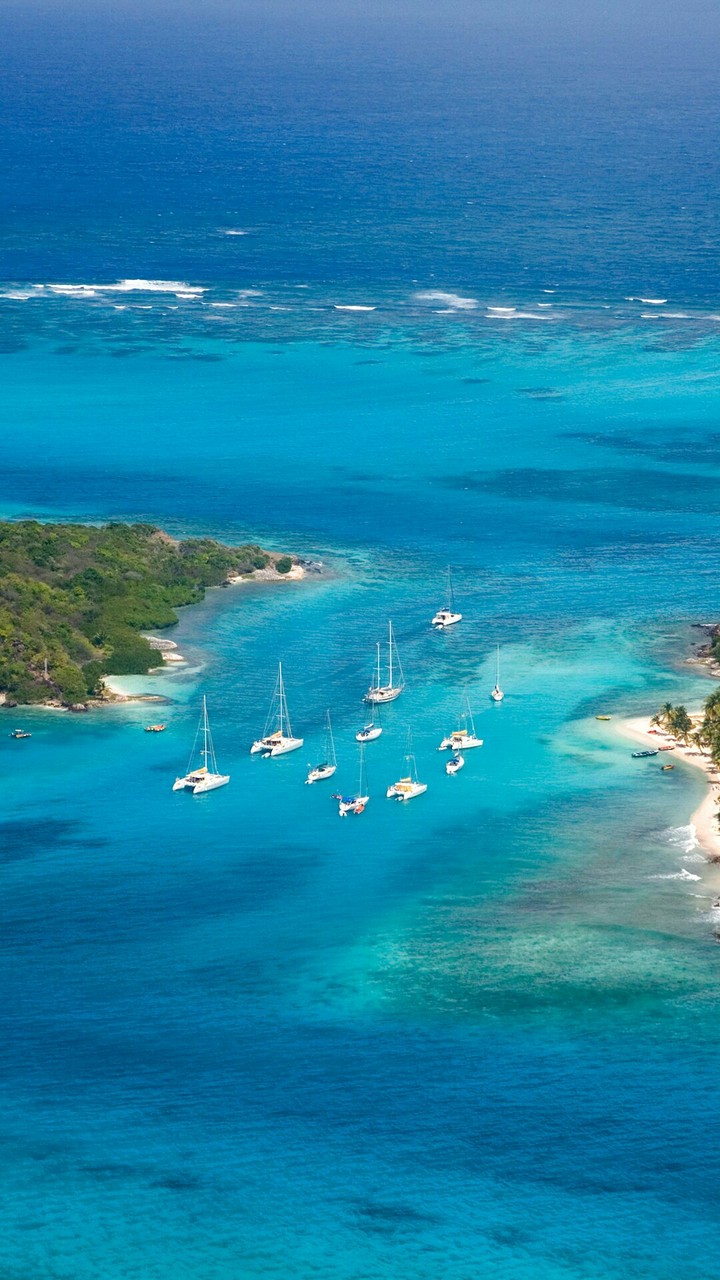 Island Life