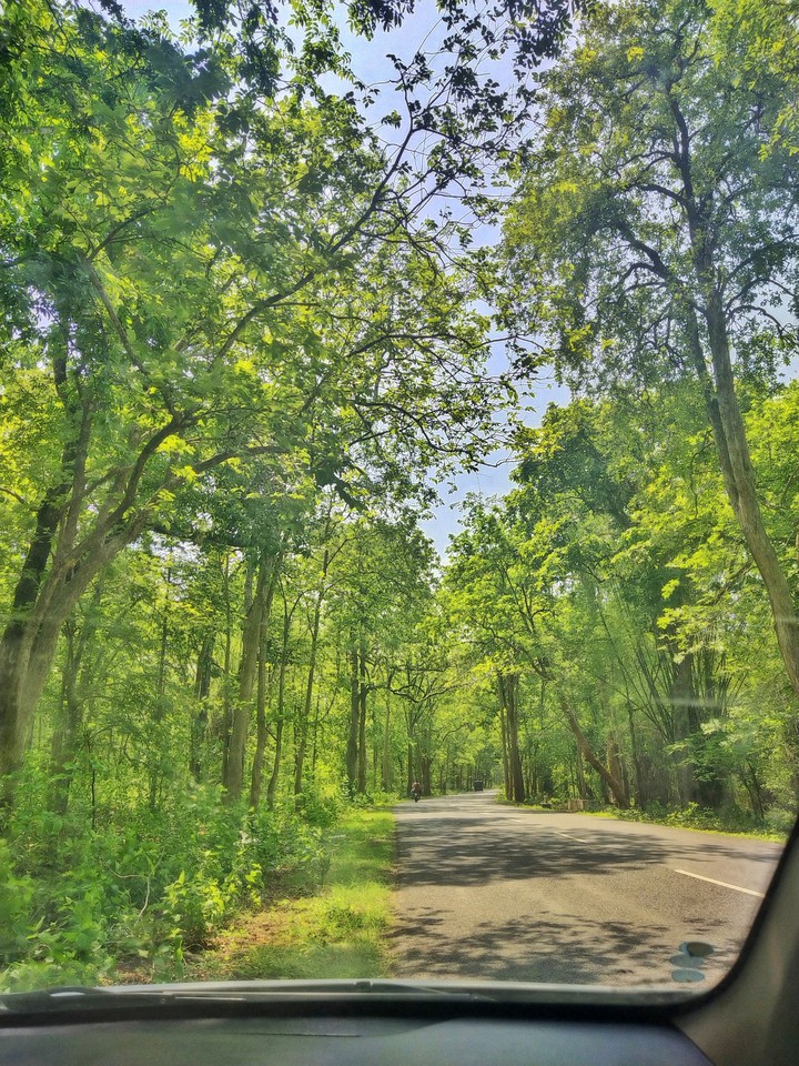 my photography nature