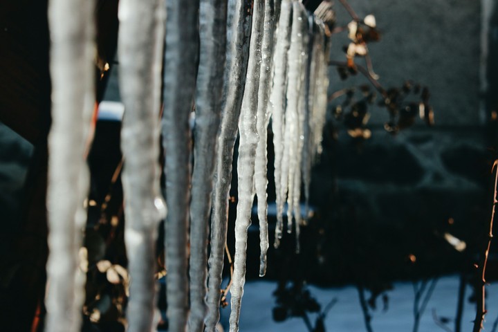 winter wonderland