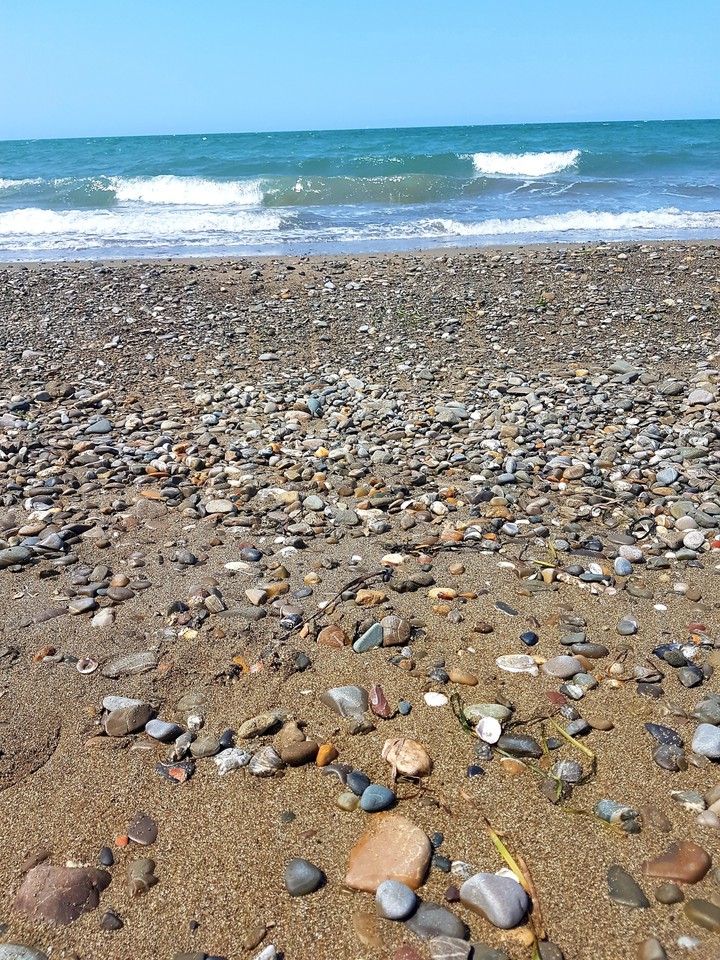 mare
