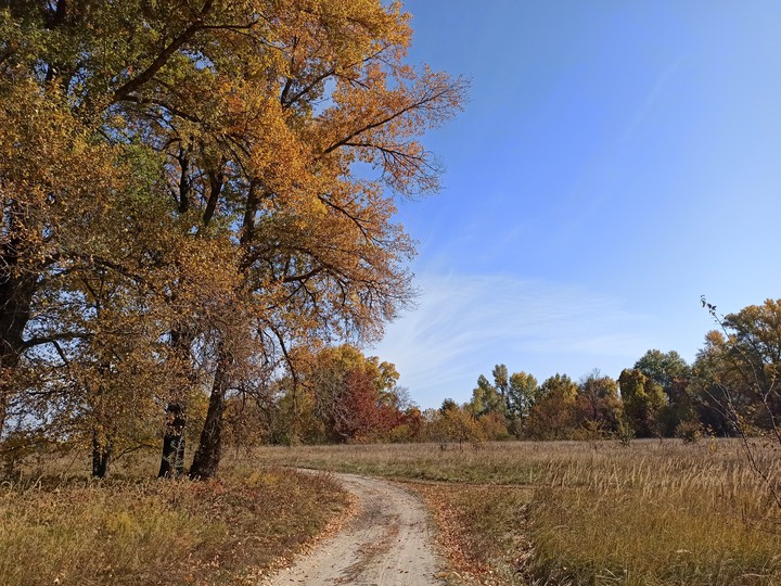 autumn