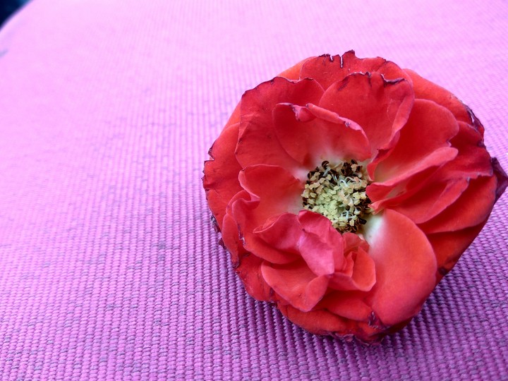 redmi note 3 click