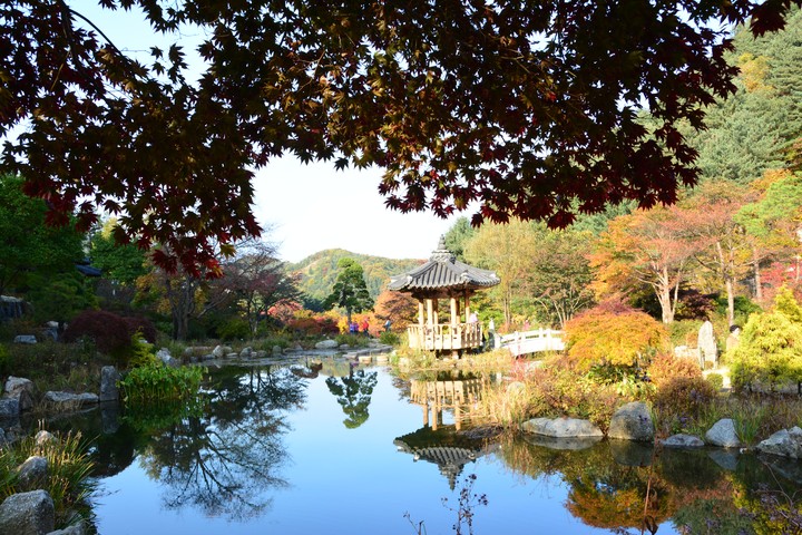 수목원이미지