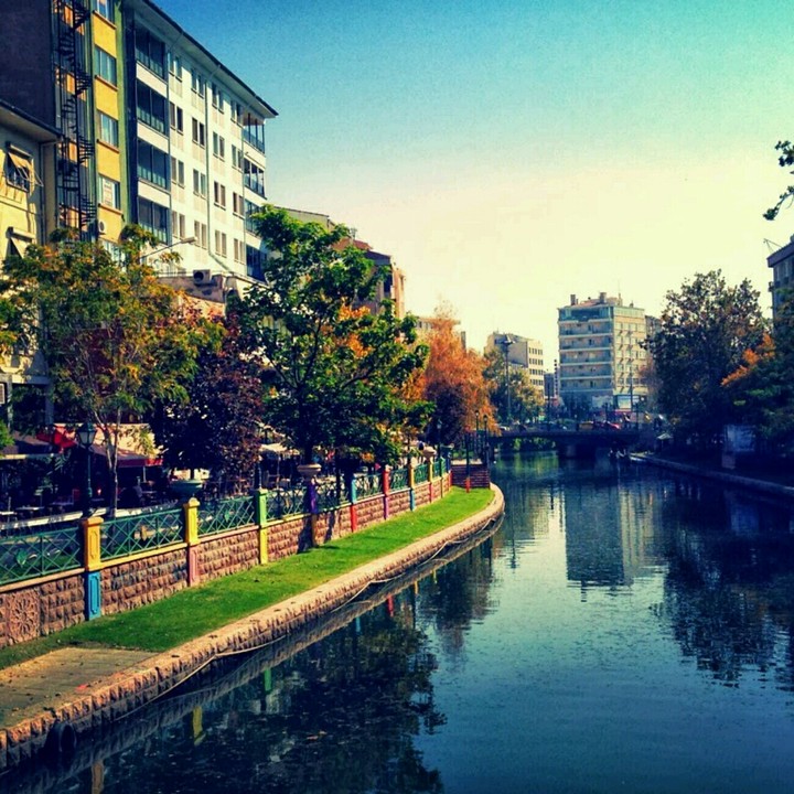 My City