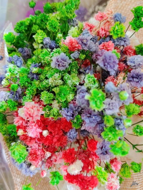 장미, 고백 배경화면