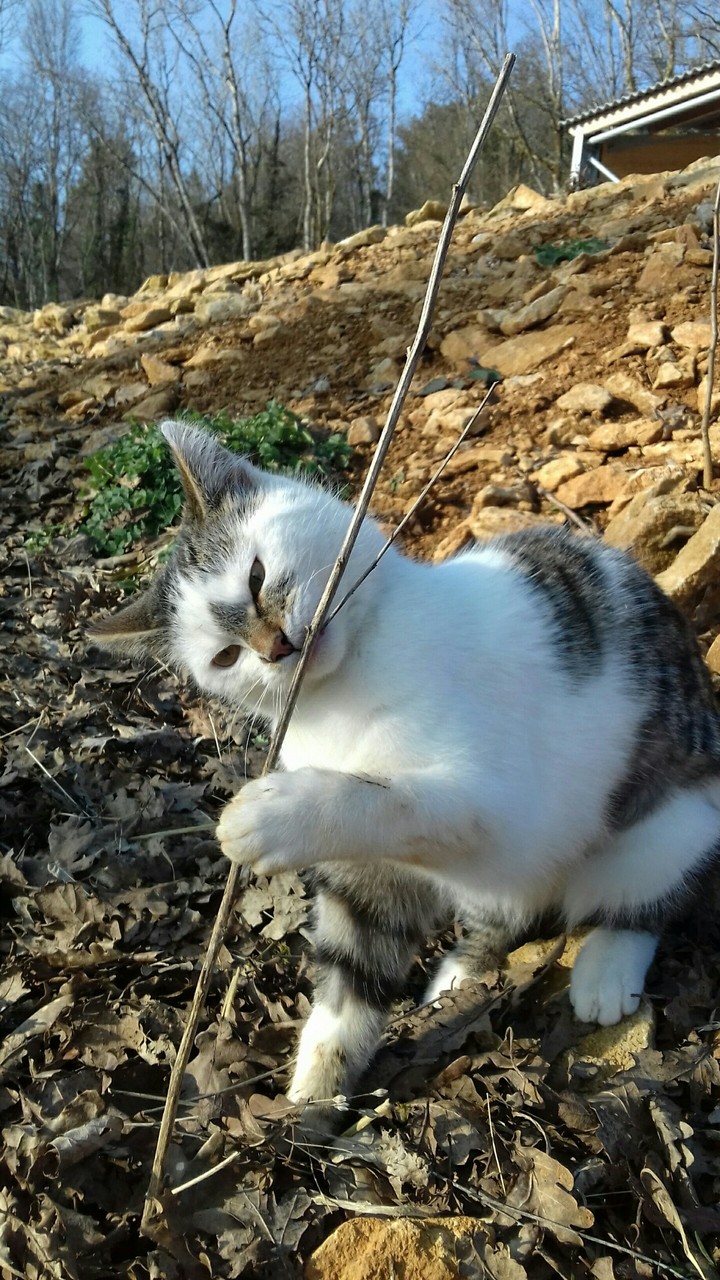 Je l'aimeee❤❤