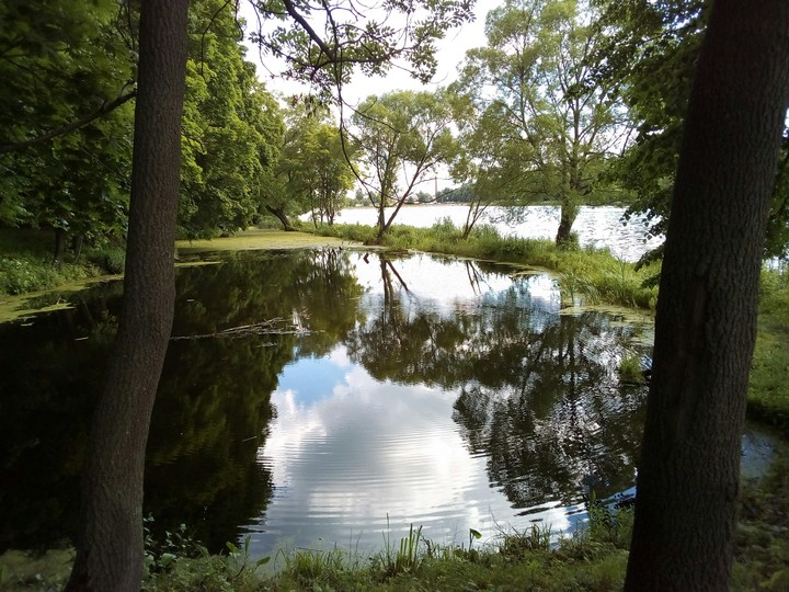 water, green
