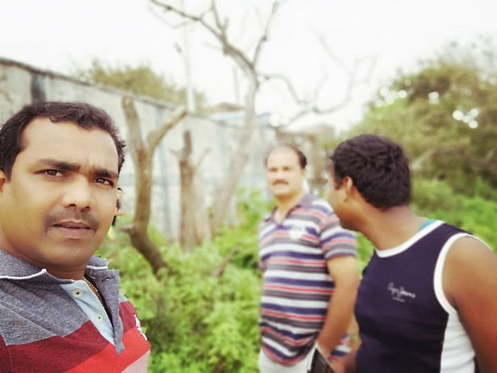 goa
