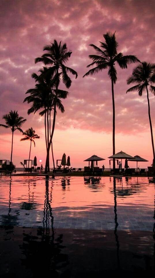 Fiji sunset