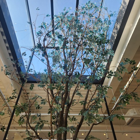 тапети flower, tree