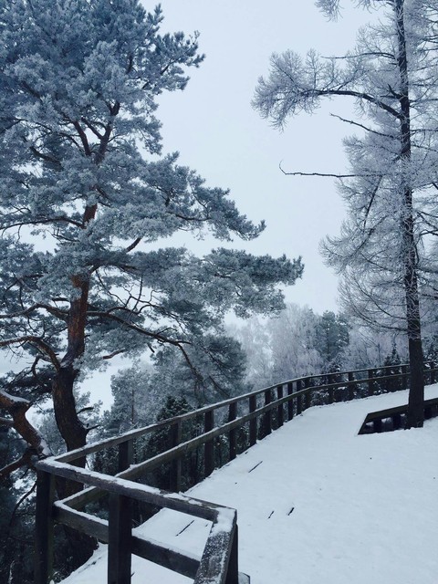 Winter❄❄❄