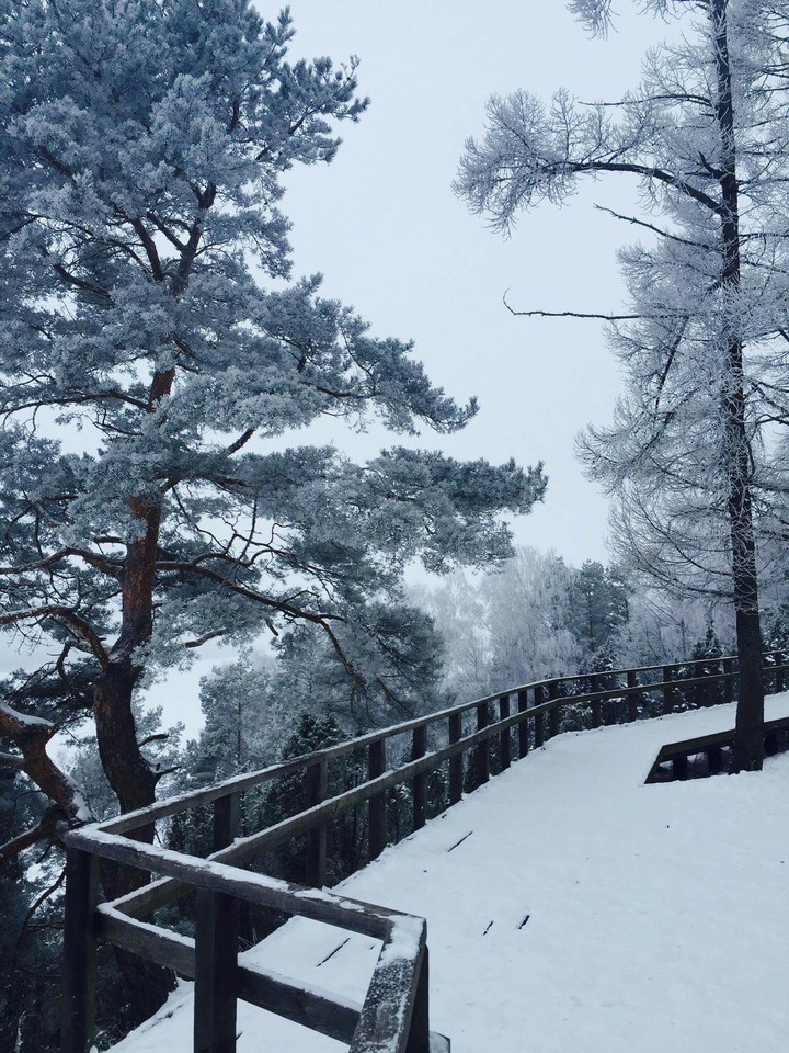 Winter❄❄❄