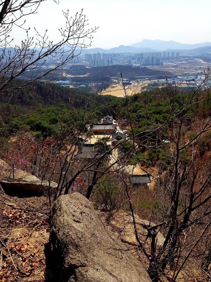 절