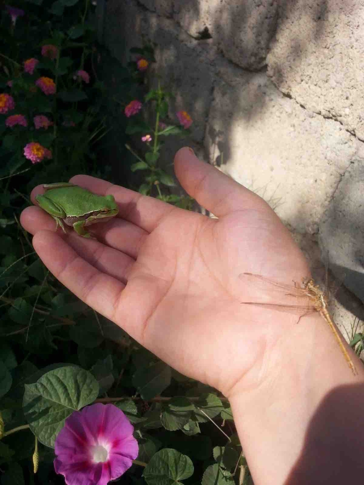 ???