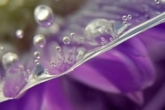 Drops