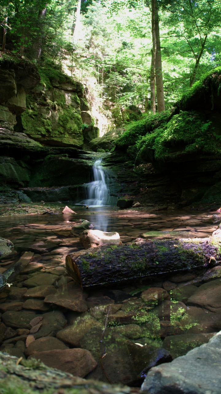 Waterfall in Blackforest