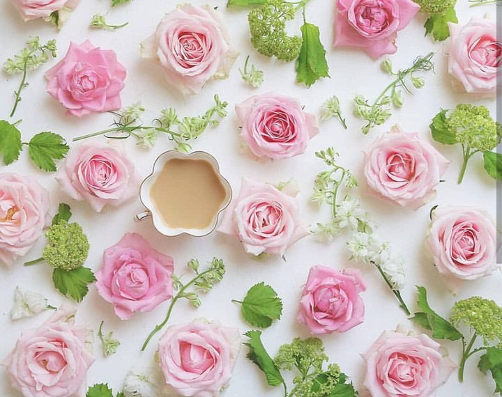 good morning