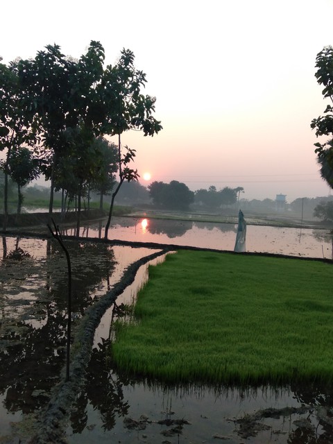 at farming Land