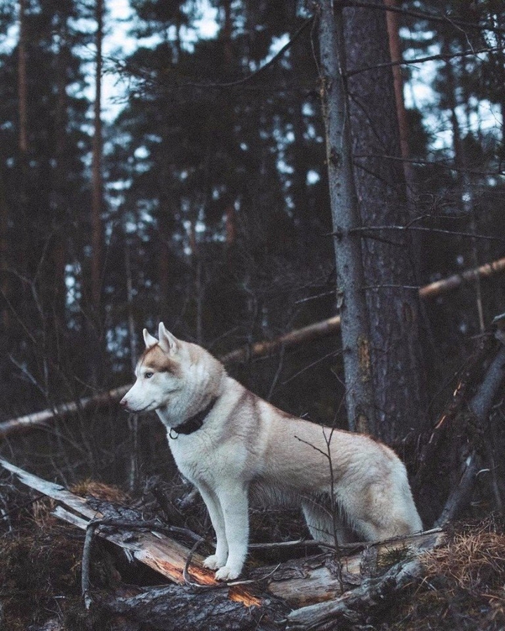 :)