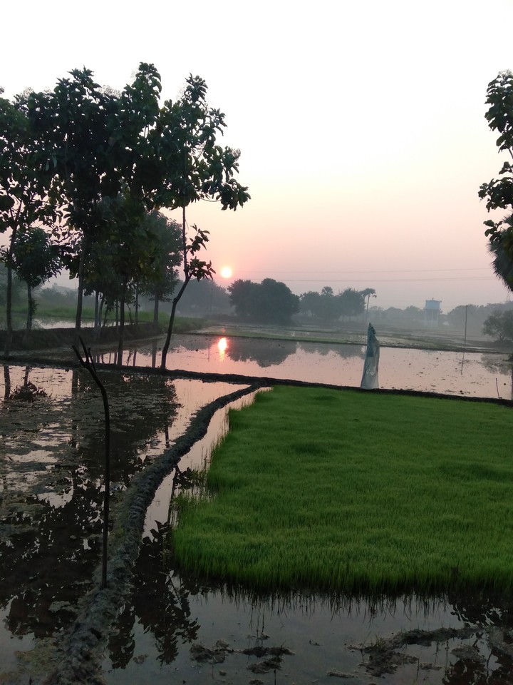 at farming Land