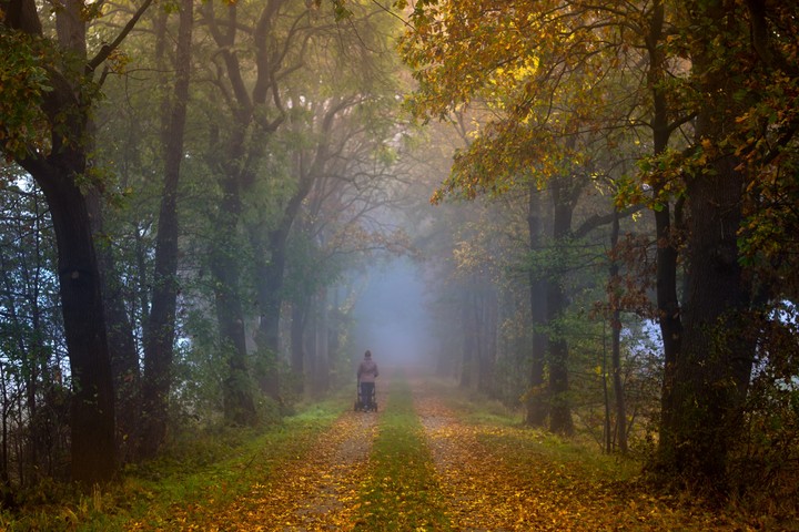 Foggy morning