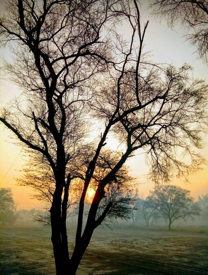 sun rise