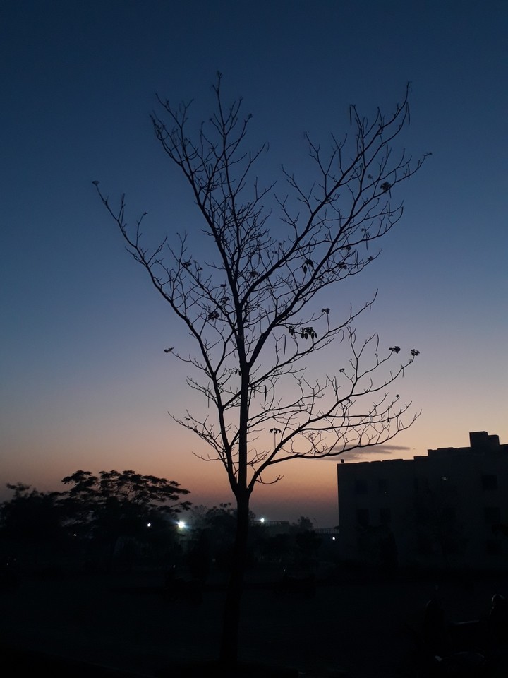 Morning