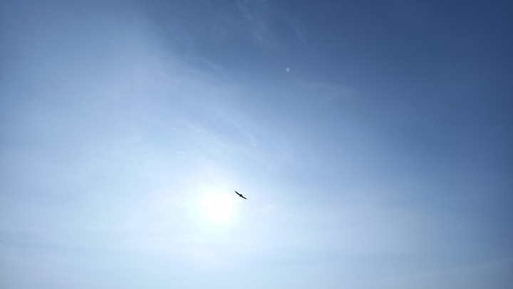 Sky