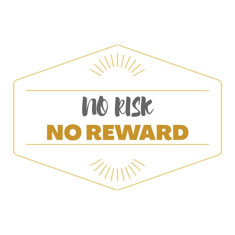 no risk no reward
